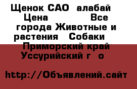 Щенок САО (алабай) › Цена ­ 10 000 - Все города Животные и растения » Собаки   . Приморский край,Уссурийский г. о. 